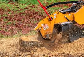 Best Tree Preservation Services  in Greenville, IN
