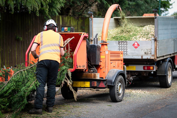 Best Tree Risk Assessment  in Greenville, IN