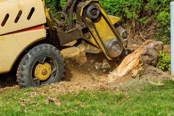 Best Lawn Watering Services  in Greenville, IN